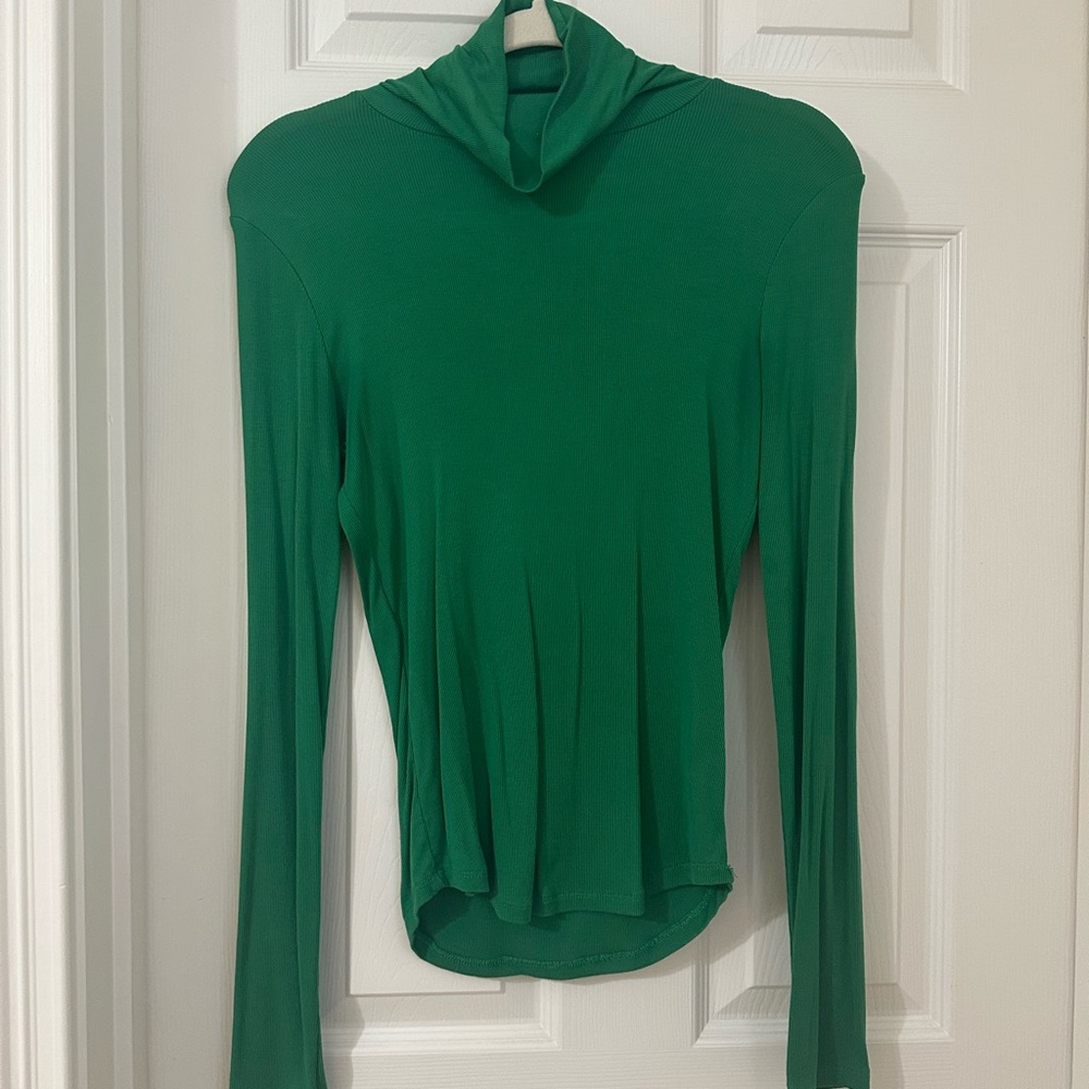 Aritzia Sunday Best Freshman Turtleneck